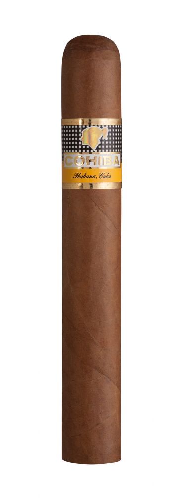 Cohiba Siglo VI 25er Kiste