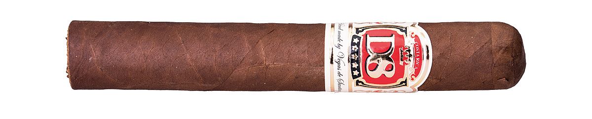 Vegas de Santiago D8 Robusto